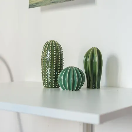 Apartment Functional In Center By Renters